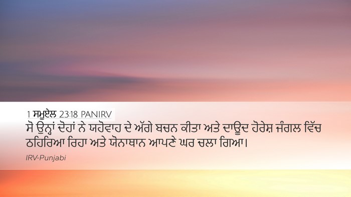 1 ਸਮੂਏਲ 23:18 PANIRV Bible Verse Image