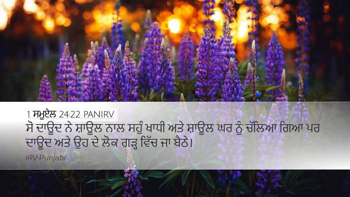 1 ਸਮੂਏਲ 24:22 PANIRV Bible Verse Image