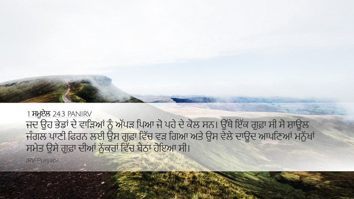 1 ਸਮੂਏਲ 24:3 PANIRV Bible Verse Image