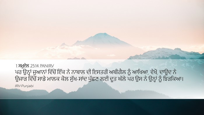1 ਸਮੂਏਲ 25:14 PANIRV Bible Verse Image