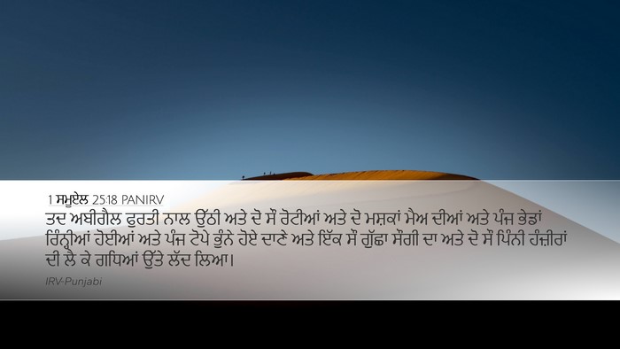 1 ਸਮੂਏਲ 25:18 PANIRV Bible Verse Image