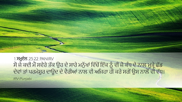 1 ਸਮੂਏਲ 25:22 PANIRV Bible Verse Image