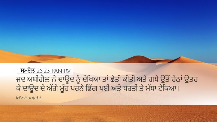 1 ਸਮੂਏਲ 25:23 PANIRV Bible Verse Image
