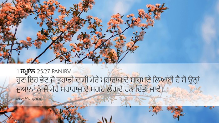 1 ਸਮੂਏਲ 25:27 PANIRV Bible Verse Image