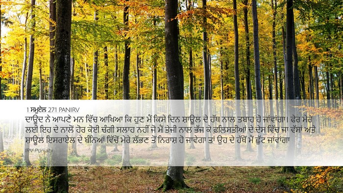 1 ਸਮੂਏਲ 27:1 PANIRV Bible Verse Image