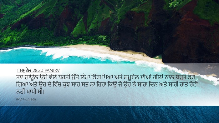 1 ਸਮੂਏਲ 28:20 PANIRV Desktop Wallpaper - ਤਦ ਸ਼ਾਊਲ ਉਸੇ ਵੇਲੇ - Desktop Bible Verse Wallpaper