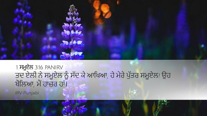 1 ਸਮੂਏਲ 3:16 PANIRV Bible Verse Image