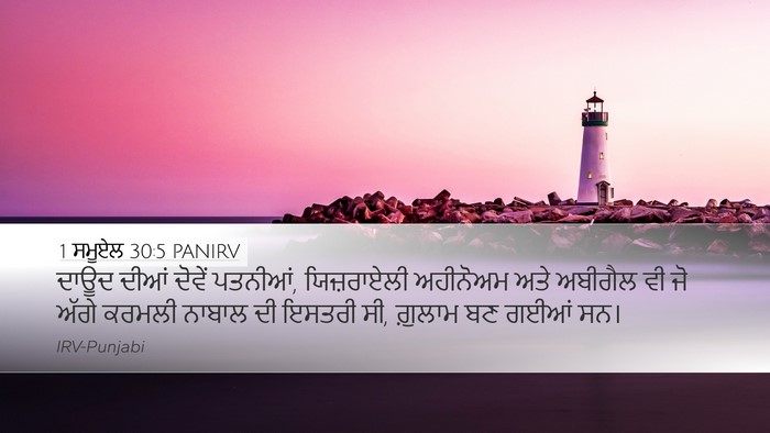 1 ਸਮੂਏਲ 30:5 PANIRV Bible Verse Image