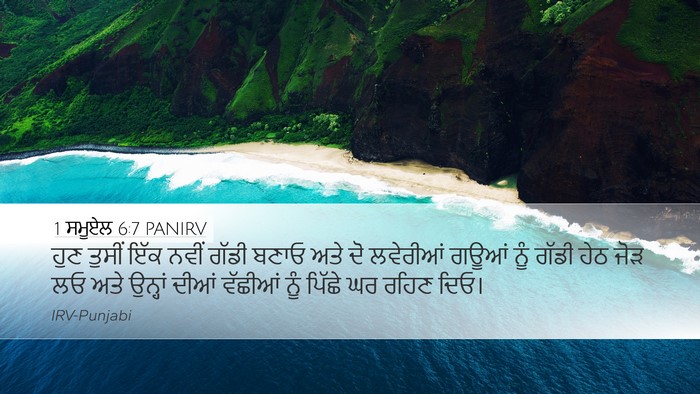1 ਸਮੂਏਲ 6:7 PANIRV Bible Verse Image
