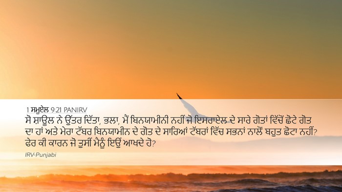1 ਸਮੂਏਲ 9:21 PANIRV Desktop Wallpaper - ਸੋ ਸ਼ਾਊਲ ਨੇ ਉੱਤਰ - Desktop Bible Verse Wallpaper
