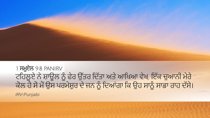 1 ਸਮੂਏਲ 9:8 PANIRV Desktop Wallpaper - ਟਹਿਲੂਏ ਨੇ ਸ਼ਾਊਲ - Desktop Bible Verse Wallpaper