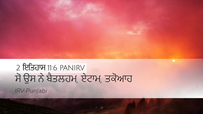 2 ਇਤਿਹਾਸ 11:6 PANIRV Bible Verse Image