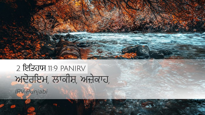 2 ਇਤਿਹਾਸ 11:9 PANIRV Bible Verse Image