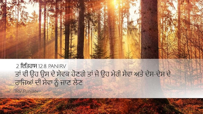 2 ਇਤਿਹਾਸ 12:8 PANIRV Bible Verse Image