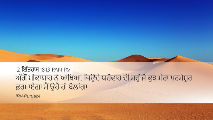 2 ਇਤਿਹਾਸ 18:13 PANIRV Bible Verse Image
