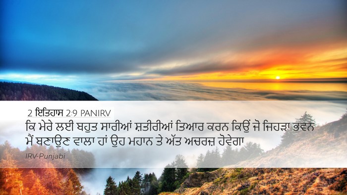 2 ਇਤਿਹਾਸ 2:9 PANIRV Bible Verse Image