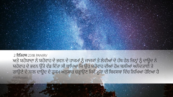 2 ਇਤਿਹਾਸ 23:18 PANIRV Bible Verse Image