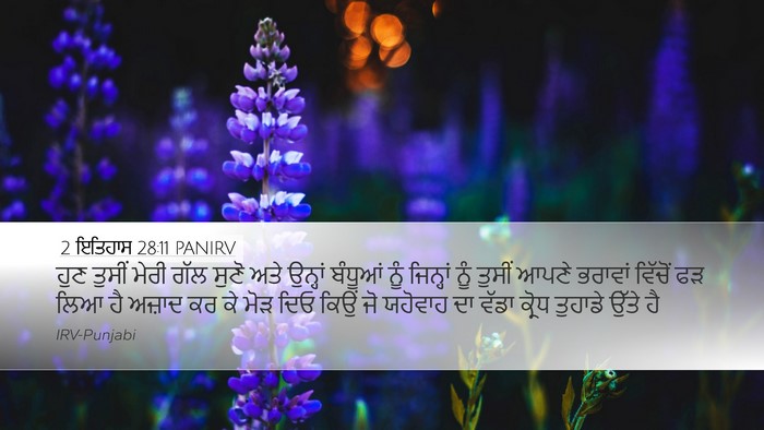 2 ਇਤਿਹਾਸ 28:11 PANIRV Desktop Wallpaper - ਹੁਣ ਤੁਸੀਂ ਮੇਰੀ ਗੱਲ - Desktop Bible Verse Wallpaper