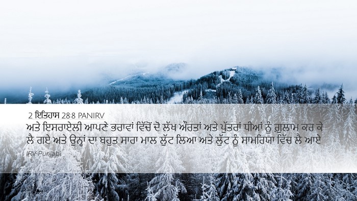 2 ਇਤਿਹਾਸ 28:8 PANIRV Bible Verse Image