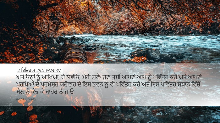 2 ਇਤਿਹਾਸ 29:5 PANIRV Bible Verse Image
