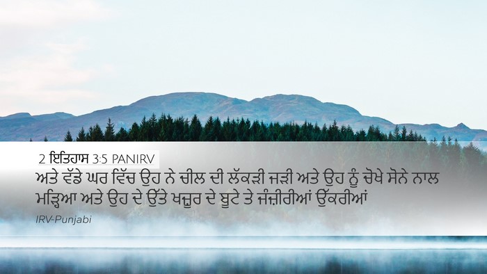 2 ਇਤਿਹਾਸ 3:5 PANIRV Bible Verse Image