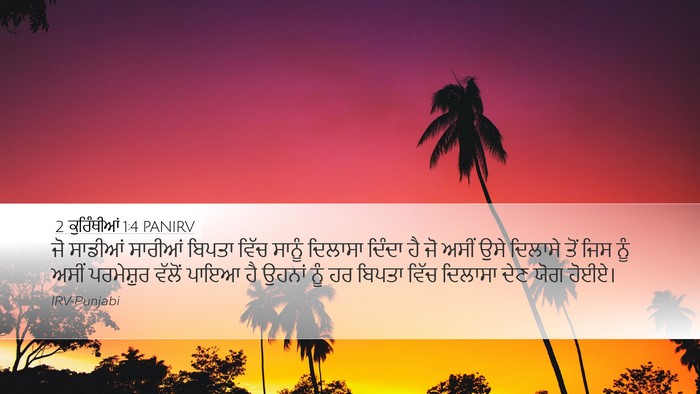 2 ਕੁਰਿੰਥੀਆਂ 1:4 PANIRV Bible Verse Image