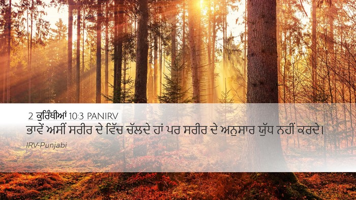 2 ਕੁਰਿੰਥੀਆਂ 10:3 PANIRV Bible Verse Image
