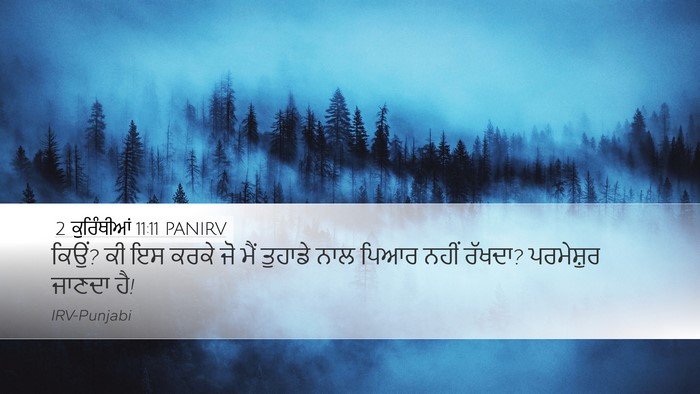 2 ਕੁਰਿੰਥੀਆਂ 11:11 PANIRV Bible Verse Image
