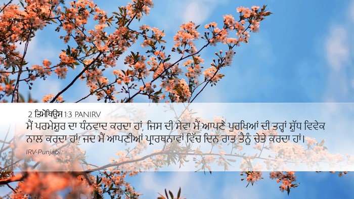 2 ਤਿਮੋਥਿਉਸ 1:3 PANIRV Bible Verse Image