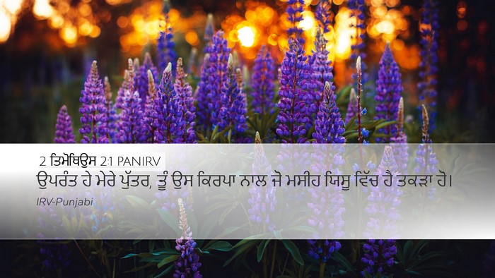 2 ਤਿਮੋਥਿਉਸ 2:1 PANIRV Bible Verse Image