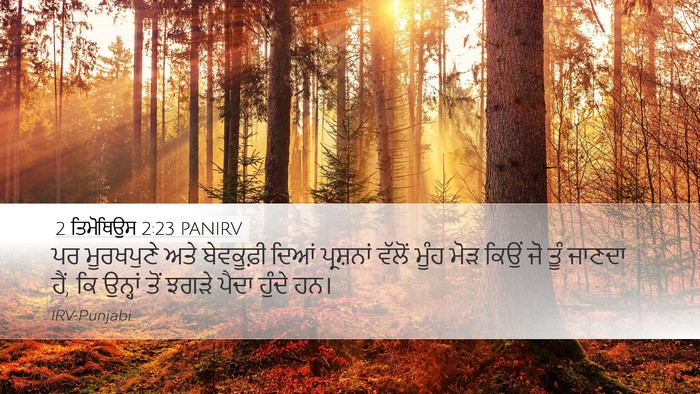 2 ਤਿਮੋਥਿਉਸ 2:23 PANIRV Bible Verse Image