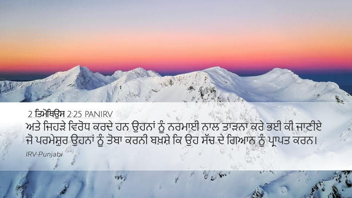 2 ਤਿਮੋਥਿਉਸ 2:25 PANIRV Bible Verse Image