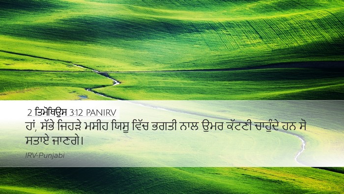 2 ਤਿਮੋਥਿਉਸ 3:12 PANIRV Bible Verse Image