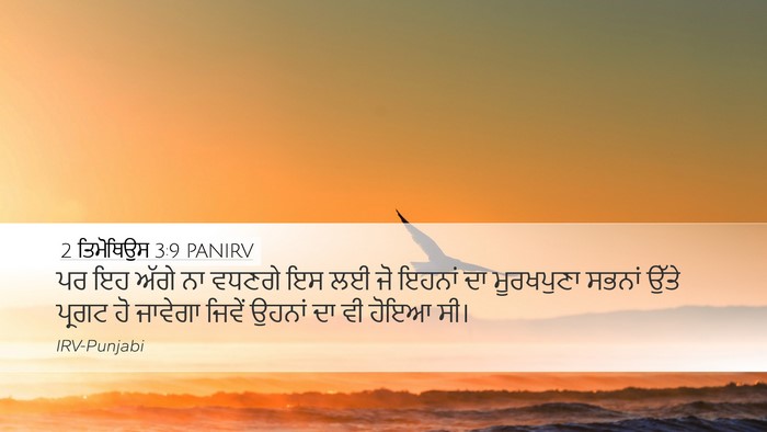 2 ਤਿਮੋਥਿਉਸ 3:9 PANIRV Bible Verse Image
