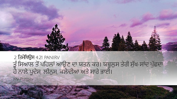 2 ਤਿਮੋਥਿਉਸ 4:21 PANIRV Bible Verse Image