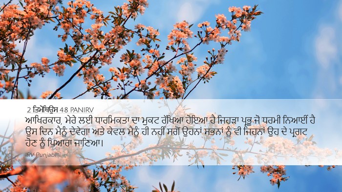2 ਤਿਮੋਥਿਉਸ 4:8 PANIRV Bible Verse Image