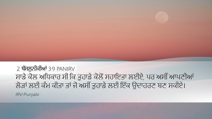 2 ਥੱਸਲੁਨੀਕੀਆਂ 3:9 PANIRV Bible Verse Image
