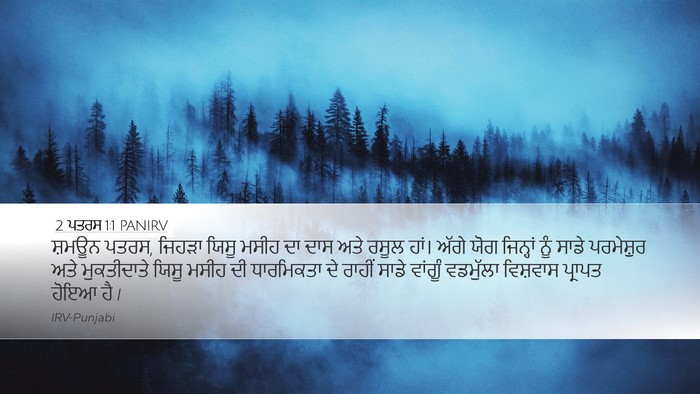 2 ਪਤਰਸ 1:1 PANIRV Bible Verse Image