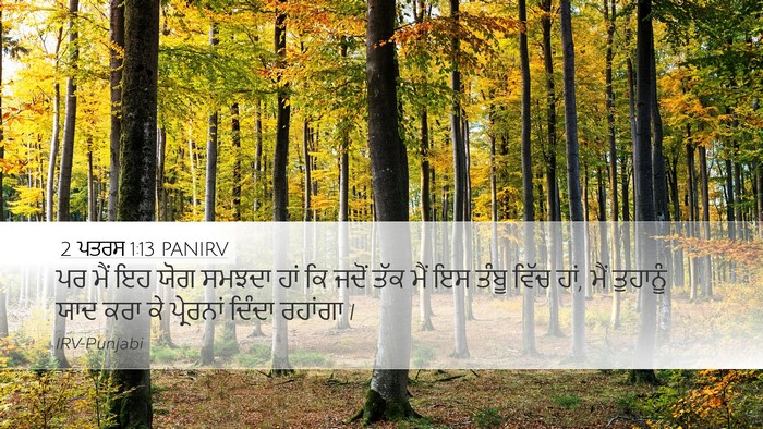 2 ਪਤਰਸ 1:13 PANIRV Desktop Wallpaper - ਪਰ ਮੈਂ ਇਹ ਯੋਗ ਸਮਝਦਾ - Desktop Bible Verse Wallpaper