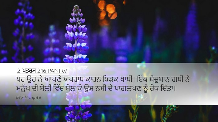 2 ਪਤਰਸ 2:16 PANIRV Bible Verse Image
