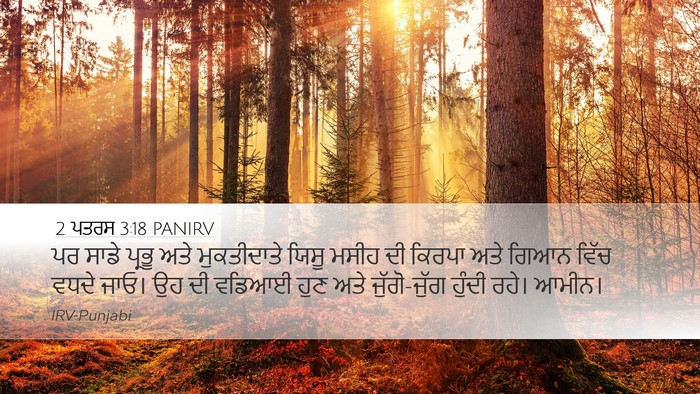 2 ਪਤਰਸ 3:18 PANIRV Bible Verse Image