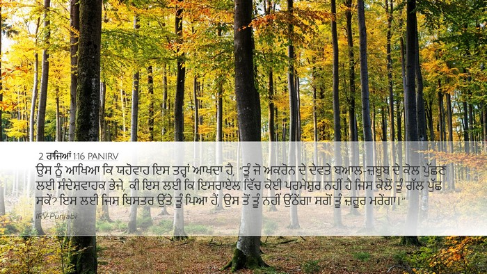 2 ਰਾਜਿਆਂ 1:16 PANIRV Bible Verse Image
