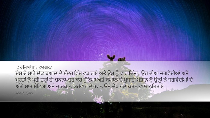2 ਰਾਜਿਆਂ 11:18 PANIRV Bible Verse Image