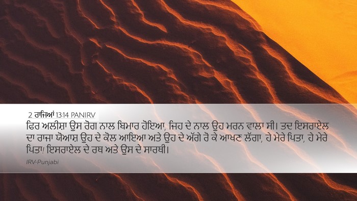 2 ਰਾਜਿਆਂ 13:14 PANIRV Bible Verse Image