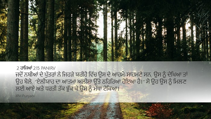 2 ਰਾਜਿਆਂ 2:15 PANIRV Bible Verse Image