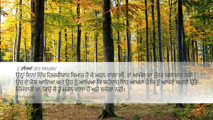 2 ਰਾਜਿਆਂ 20:1 PANIRV Bible Verse Image