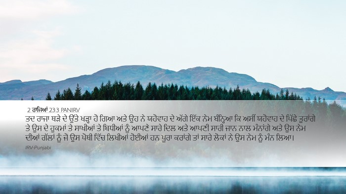 2 ਰਾਜਿਆਂ 23:3 PANIRV Bible Verse Image