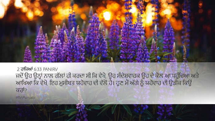 2 ਰਾਜਿਆਂ 6:33 PANIRV Bible Verse Image