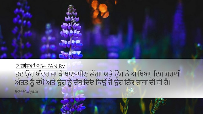 2 ਰਾਜਿਆਂ 9:34 PANIRV Bible Verse Image
