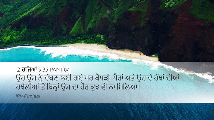 2 ਰਾਜਿਆਂ 9:35 PANIRV Bible Verse Image